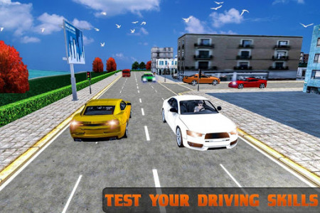 اسکرین شات بازی Driving School 3D 2017 7