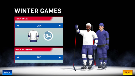 اسکرین شات بازی Hockey All Stars 4