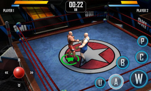 اسکرین شات بازی Real Wrestling 3D 6
