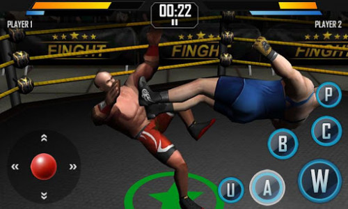 اسکرین شات بازی Real Wrestling 3D 3