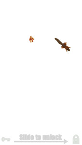 اسکرین شات 7 بازی Fly simulator: cat toy