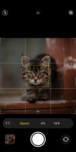 اسکرین شات 4 برنامه CAMERA IOS 16