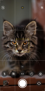 اسکرین شات 3 برنامه CAMERA IOS 16
