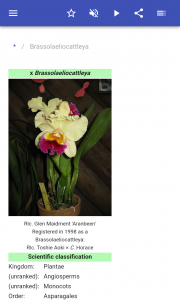 اسکرین شات 2 برنامه Houseplants