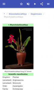 اسکرین شات 4 برنامه Houseplants