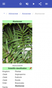 اسکرین شات 4 برنامه Plant families
