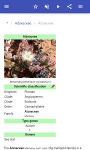 اسکرین شات 3 برنامه Plant families
