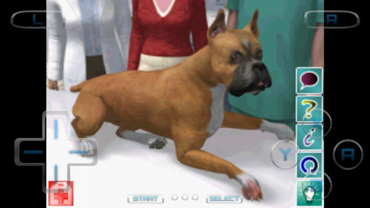 اسکرین شات بازی دامپزشک حیوانات خانگی 1