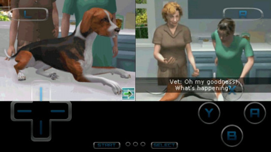 اسکرین شات بازی دامپزشک حیوانات خانگی 4