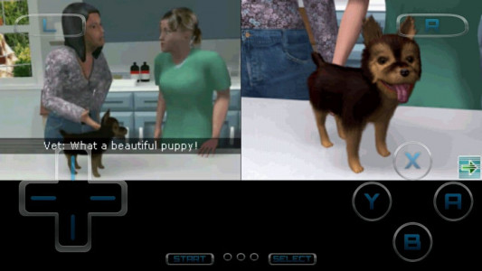اسکرین شات بازی دامپزشک حیوانات خانگی 5