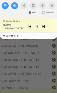 اسکرین شات برنامه Hausa Quran Audio 3
