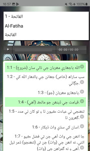 اسکرین شات 3 برنامه Sindhi Quran قرآن