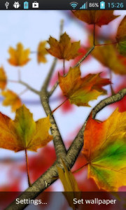 اسکرین شات برنامه Autumn Leaves in HD Gyro 3D Parallax Wallpaper 2