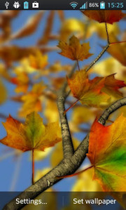 اسکرین شات برنامه Autumn Leaves in HD Gyro 3D Parallax Wallpaper 3
