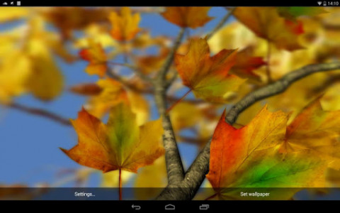اسکرین شات برنامه Autumn Leaves in HD Gyro 3D Parallax Wallpaper 5
