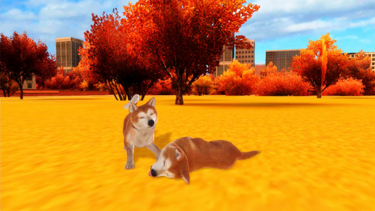 اسکرین شات بازی Akita Dog Simulator 1