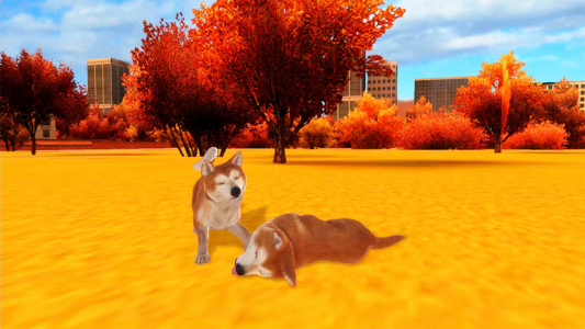 اسکرین شات 1 بازی Akita Dog Simulator
