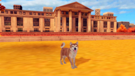 اسکرین شات بازی Akita Dog Simulator 5