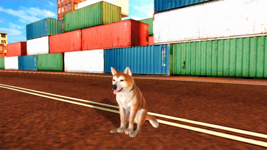 اسکرین شات بازی Akita Dog Simulator 6
