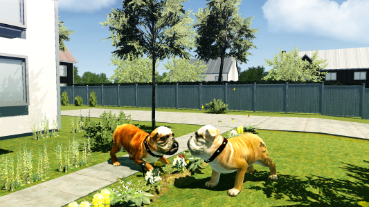 اسکرین شات 4 بازی BullDog Simulator