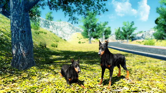 اسکرین شات بازی Doberman Dog Simulator 7