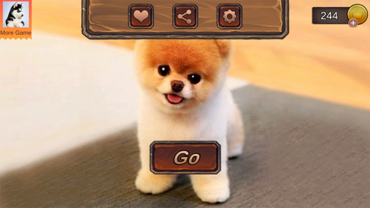 اسکرین شات بازی Pomeranian Dog Simulator 1