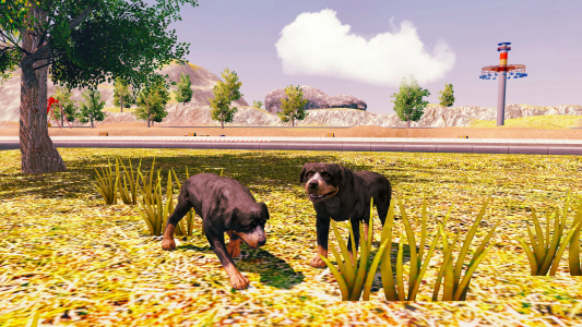 اسکرین شات بازی Rottweiler Dog Simulator 4