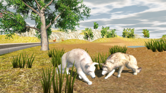 اسکرین شات بازی Wolf Dog Simulator 5