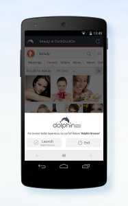 اسکرین شات برنامه Dolphin Zero Incognito Browser 3