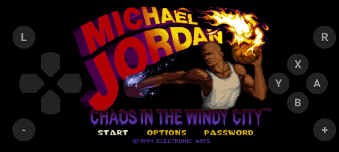 اسکرین شات بازی شبیه ساز بازی مایکل جردن 1