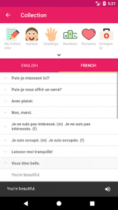 اسکرین شات برنامه French English Offline Dictionary & Translator 6