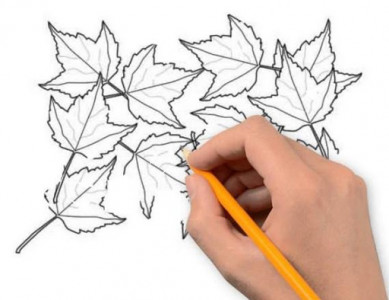 اسکرین شات برنامه Drawing Trees 4