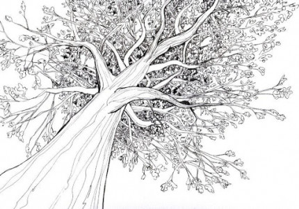 اسکرین شات برنامه Drawing Trees 5