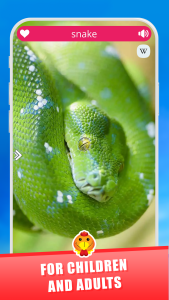 اسکرین شات 6 برنامه Animal Sounds