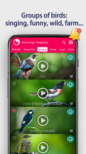 اسکرین شات 6 برنامه Bird Songs: Ringtones