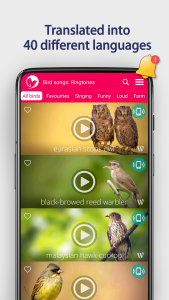 اسکرین شات 4 برنامه Bird Songs: Ringtones