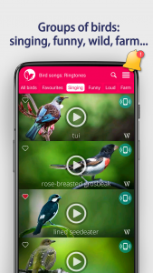 اسکرین شات برنامه Bird Songs: Ringtones 6