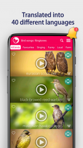 اسکرین شات برنامه Bird Songs: Ringtones 4