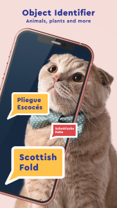 اسکرین شات 4 برنامه Duff Translate, Cam Translator