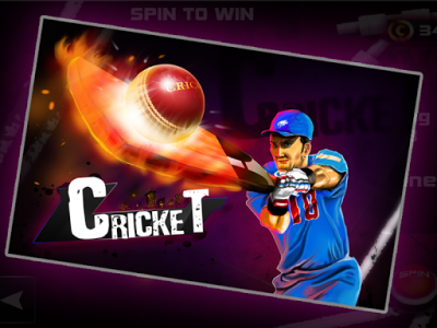 اسکرین شات بازی Cricket 3D 4