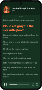 اسکرین شات 3 برنامه Lark Player:Music Player & MP3