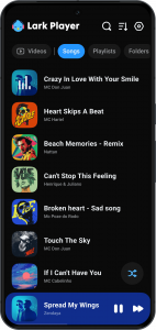 اسکرین شات برنامه Lark Player:Music Player & MP3 1