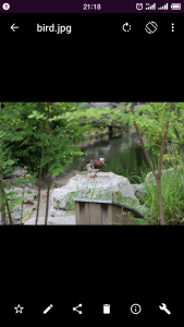 اسکرین شات 6 برنامه Smart Gallery - Photo Manager