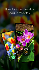 اسکرین شات برنامه Wallpapers with flowers in 4K 3