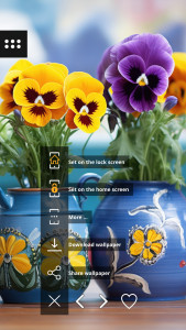 اسکرین شات 2 برنامه Wallpapers with flowers in 4K