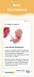 اسکرین شات 2 برنامه Pregnancy App