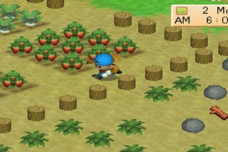 اسکرین شات بازی مزرعه دار جهانی - مزرعه بزرگ 3