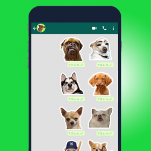 اسکرین شات برنامه 🐾 Best dogs Stickers and memes WAStickerApps 2020 4