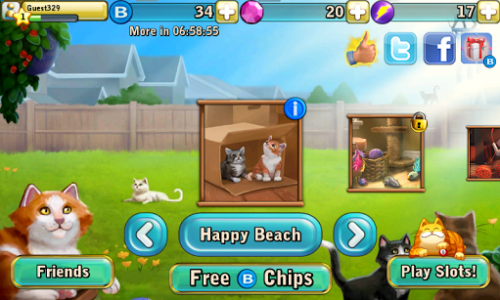 اسکرین شات بازی Bingo Cats 2