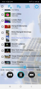 اسکرین شات برنامه Folder Music Player +Cloud 6